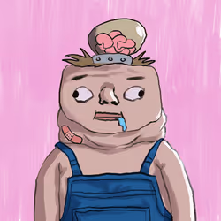 291