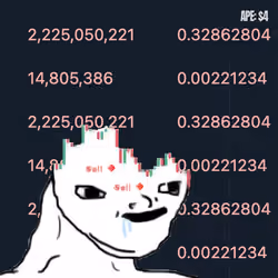 Rekt #29