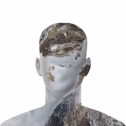 651