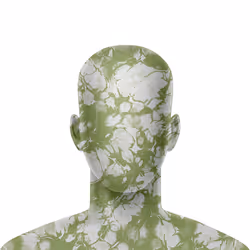 Faceless #973