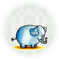 Elephant Jr. 3/00