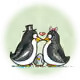 816