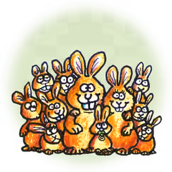 Bunnies 2/00