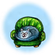 243