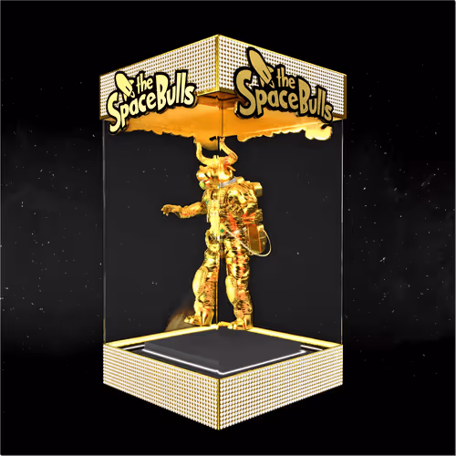 Thespacebullstsb