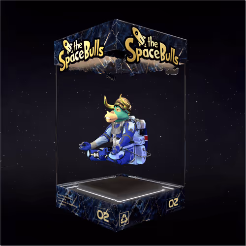 Thespacebullstsb