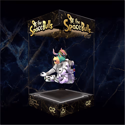 Thespacebullstsb