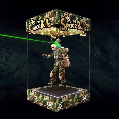 Thespacebullstsb