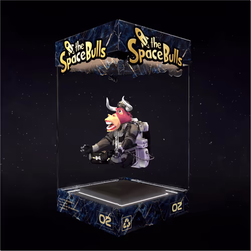 Thespacebullstsb
