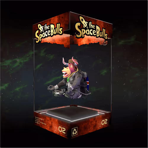 Thespacebullstsb
