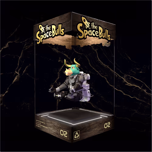 Thespacebullstsb