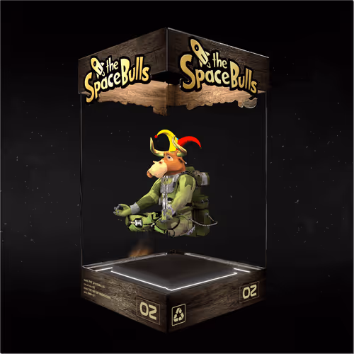 Thespacebullstsb