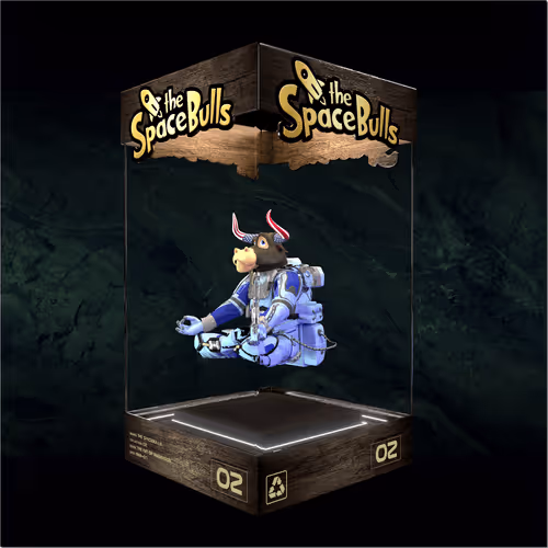 Thespacebullstsb