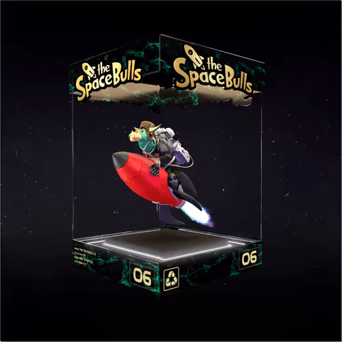 Thespacebullstsb