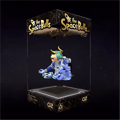 Thespacebullstsb