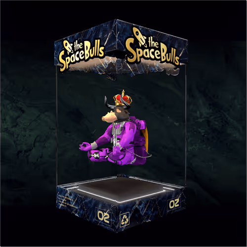 Thespacebullstsb