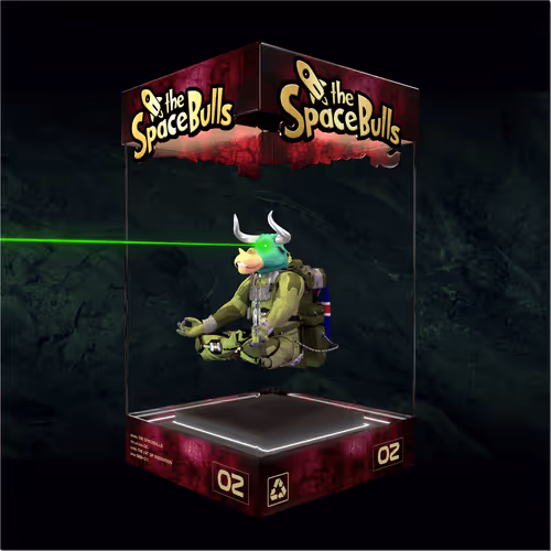 Thespacebullstsb