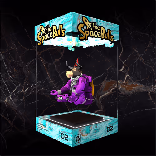 Thespacebullstsb