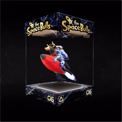 Thespacebullstsb