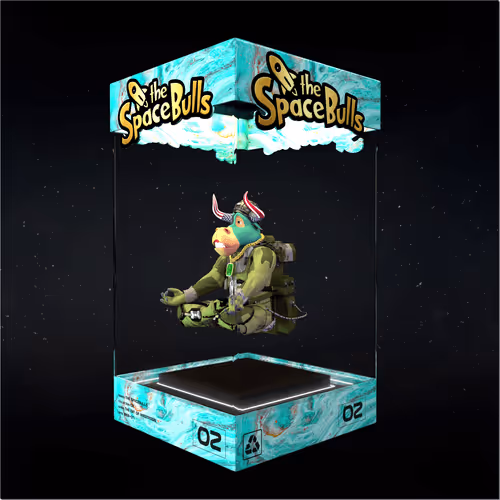 Thespacebullstsb