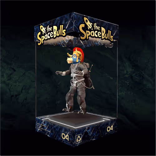 Thespacebullstsb