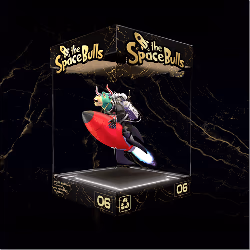 Thespacebullstsb