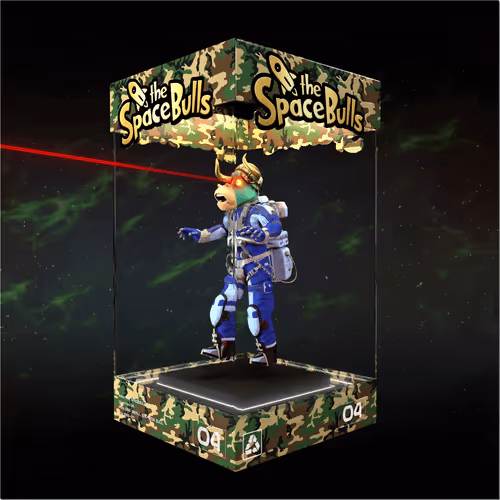 Thespacebullstsb