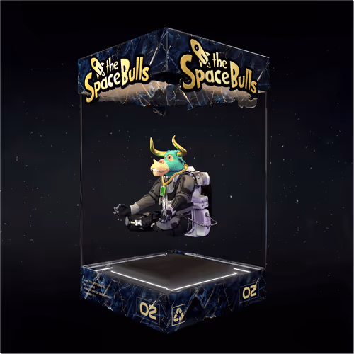 Thespacebullstsb