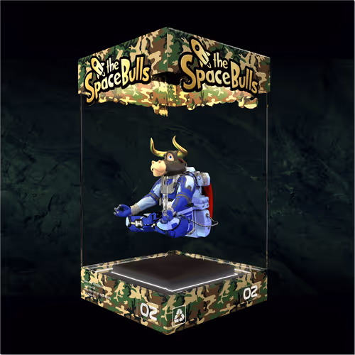 Thespacebullstsb