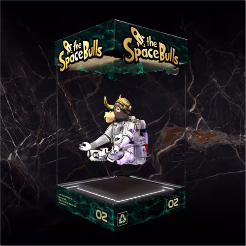 Thespacebullstsb