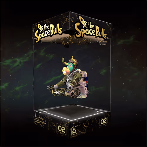 Thespacebullstsb