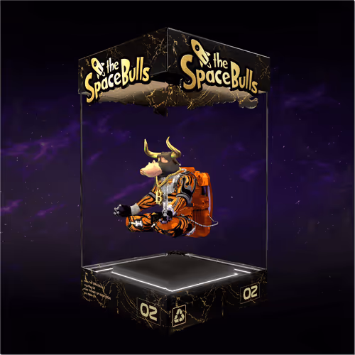 Thespacebullstsb