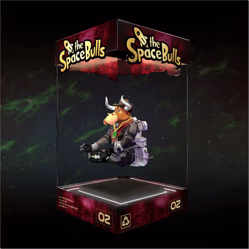 Thespacebullstsb