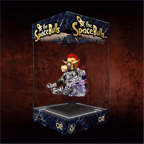 Thespacebullstsb
