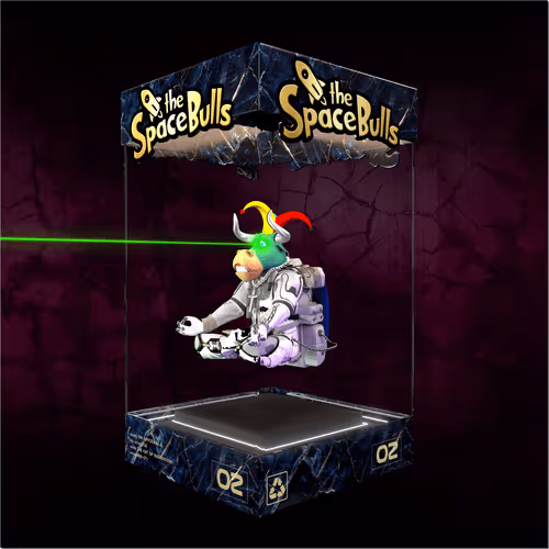 Thespacebullstsb
