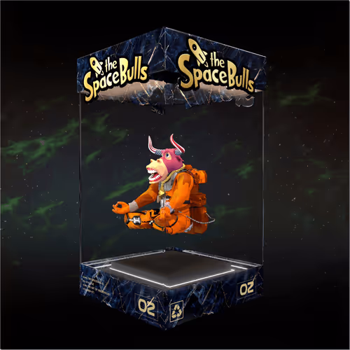Thespacebullstsb