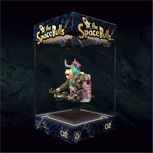 Thespacebullstsb