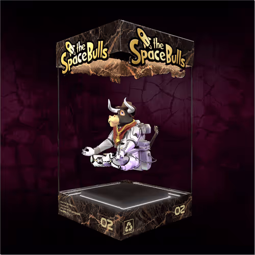 Thespacebullstsb