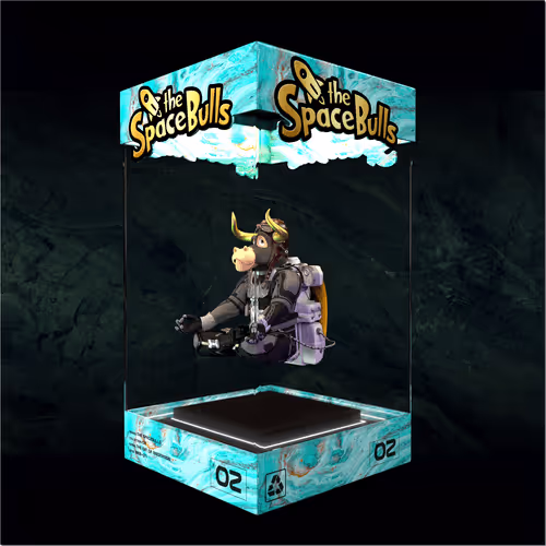 Thespacebullstsb