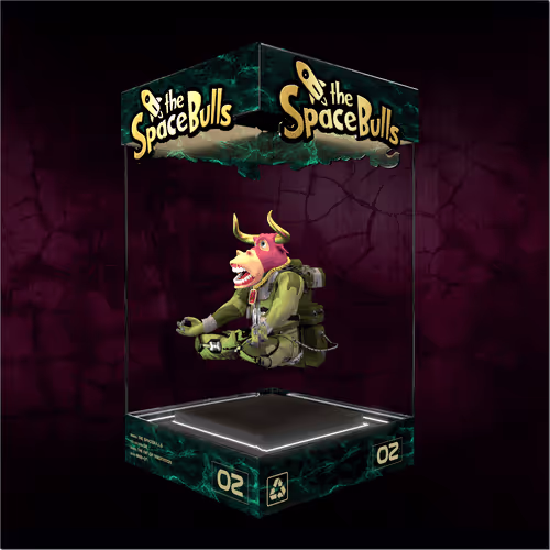 Thespacebullstsb