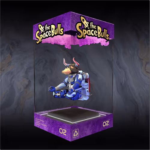 Thespacebullstsb