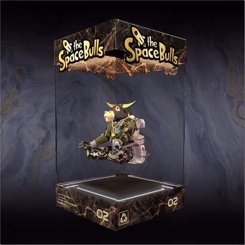 Thespacebullstsb