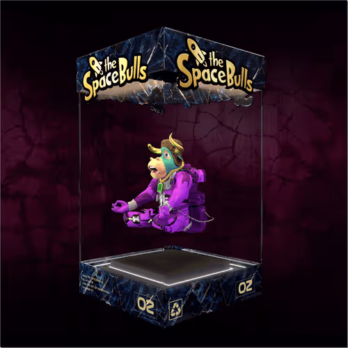 Thespacebullstsb
