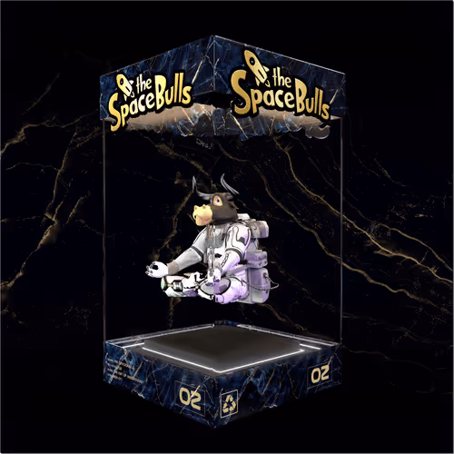Thespacebullstsb