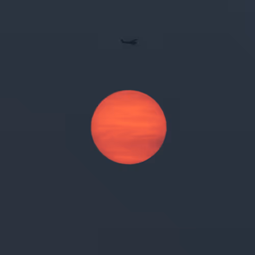 Seasonal #18