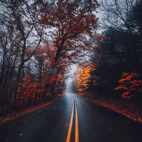 Seasonal #29