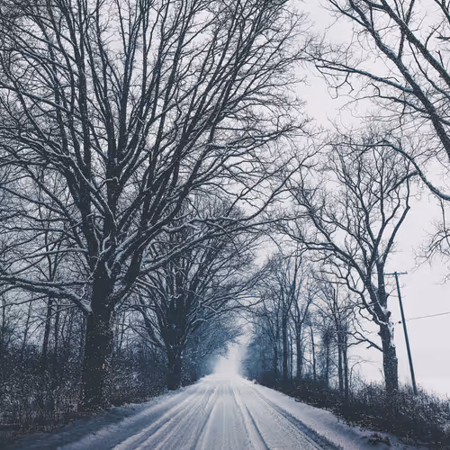 Seasonal