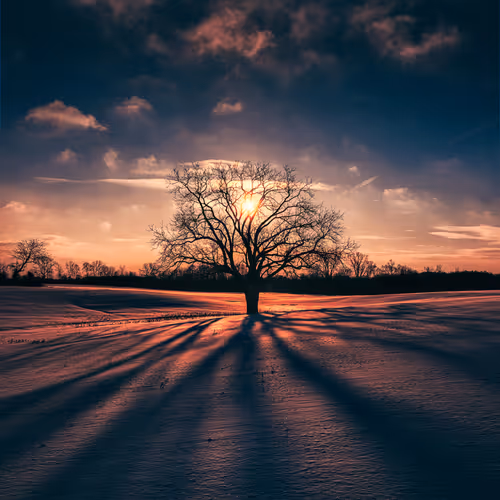 Seasonal