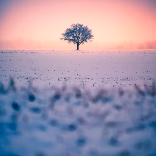 Seasonal #35