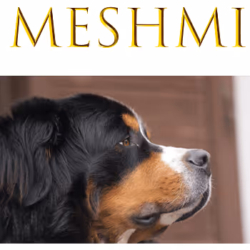 Meshmi Opensea Photo